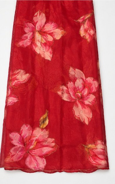 Crimson Red Organza Silk Saree with Handpainted Floral Motifs view 7